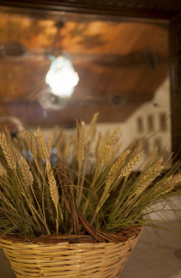 مبيت وإفطار Paciano Relais Mastro Cinghiale المظهر الخارجي الصورة