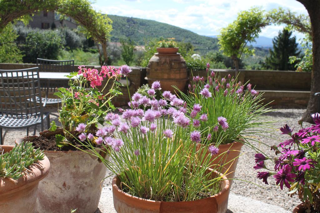 مبيت وإفطار Paciano Relais Mastro Cinghiale المظهر الخارجي الصورة